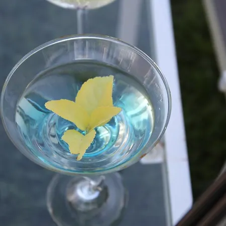 ホテル Freskia Velipojë